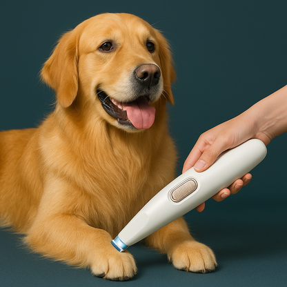 Electric Hair Clipper